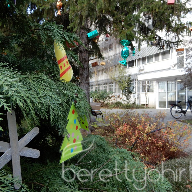 Fenyődíszítés a kórházban 29